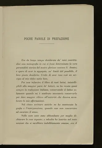 _0006_S.Amato da Nusco_Monografia storico critica_008.webp