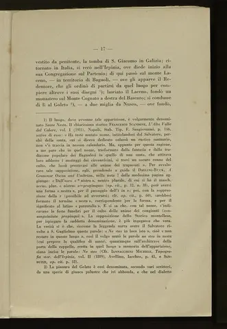_0018_S.Amato da Nusco_Monografia storico critica_022.webp