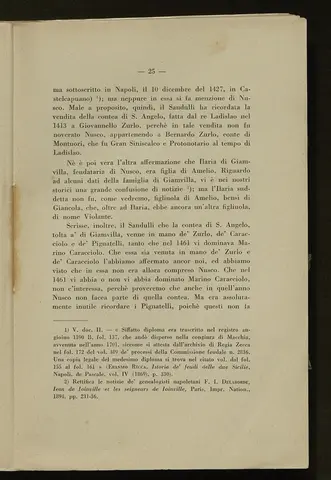_0026_S.Amato da Nusco_Monografia storico critica_030.webp