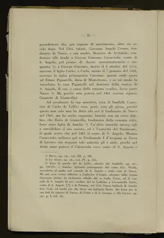 _0027_S.Amato da Nusco_Monografia storico critica_031.webp