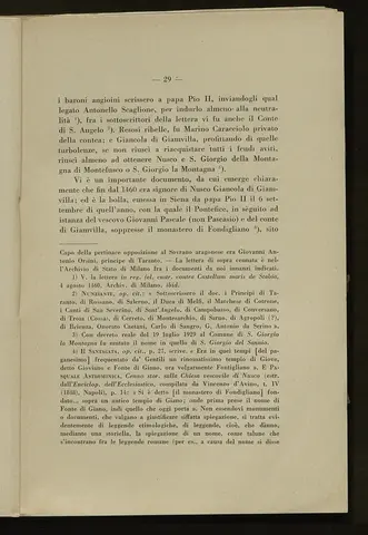_0030_S.Amato da Nusco_Monografia storico critica_034.webp