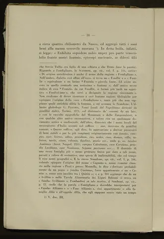 _0031_S.Amato da Nusco_Monografia storico critica_035.webp