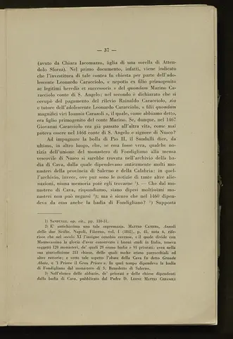 _0038_S.Amato da Nusco_Monografia storico critica_042.webp