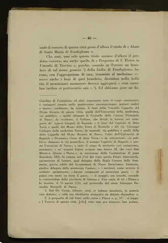 _0041_S.Amato da Nusco_Monografia storico critica_045.webp