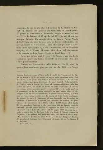 _0042_S.Amato da Nusco_Monografia storico critica_046.webp