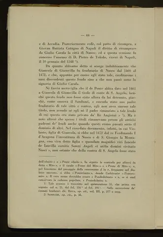 _0045_S.Amato da Nusco_Monografia storico critica_049.webp