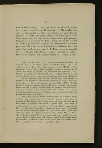 _0056_S.Amato da Nusco_Monografia storico critica_060.webp