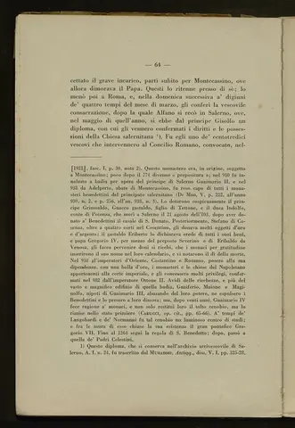 _0065_S.Amato da Nusco_Monografia storico critica_069.webp