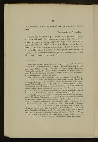 _0069_S.Amato da Nusco_Monografia storico critica_073.webp