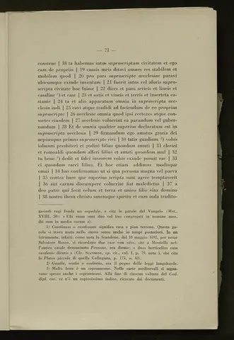 _0072_S.Amato da Nusco_Monografia storico critica_076.webp