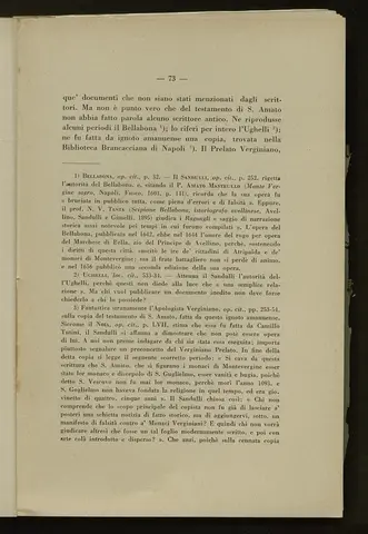_0074_S.Amato da Nusco_Monografia storico critica_078.webp