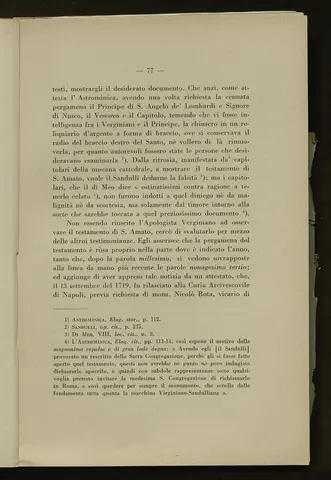 _0078_S.Amato da Nusco_Monografia storico critica_082.webp