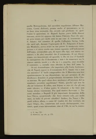 _0079_S.Amato da Nusco_Monografia storico critica_083.webp