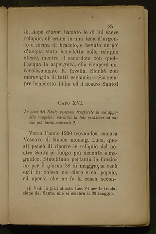 _0088_Vita del glorioso Sant_Amato_Monza_1890_086.webp