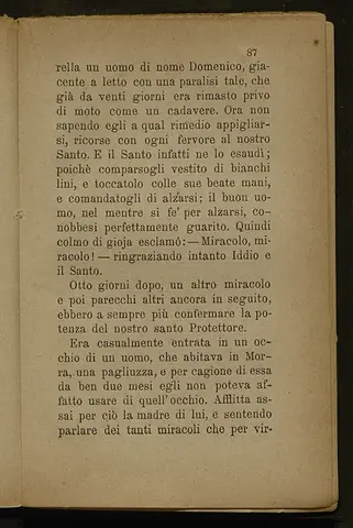 _0090_Vita del glorioso Sant_Amato_Monza_1890_088.webp