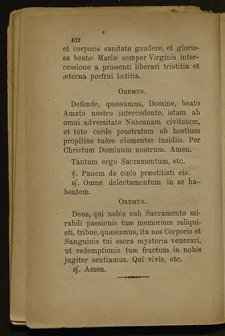 _0105_Vita del glorioso Sant_Amato_Monza_1890_105.webp