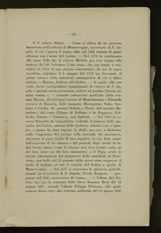 _0106_S.Amato da Nusco_Monografia storico critica_110.webp