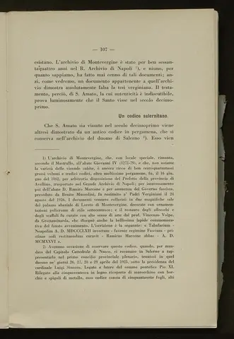 _0108_S.Amato da Nusco_Monografia storico critica_112.webp