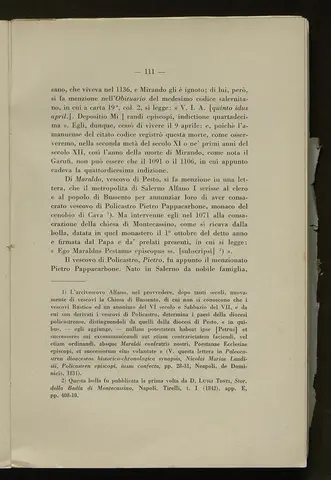 _0112_S.Amato da Nusco_Monografia storico critica_116.webp