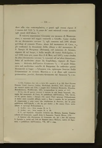 _0114_S.Amato da Nusco_Monografia storico critica_118.webp