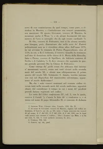 _0115_S.Amato da Nusco_Monografia storico critica_119.webp