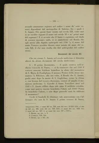 _0117_S.Amato da Nusco_Monografia storico critica_121.webp