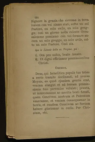 _0117_Vita del glorioso Sant_Amato_Monza_1890_117.webp