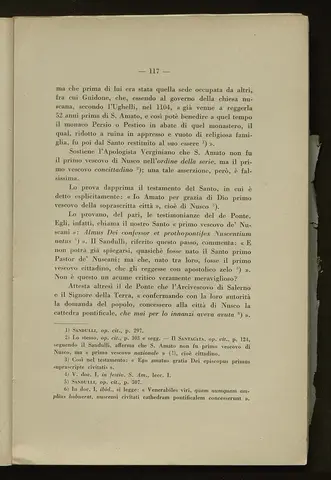 _0118_S.Amato da Nusco_Monografia storico critica_122.webp