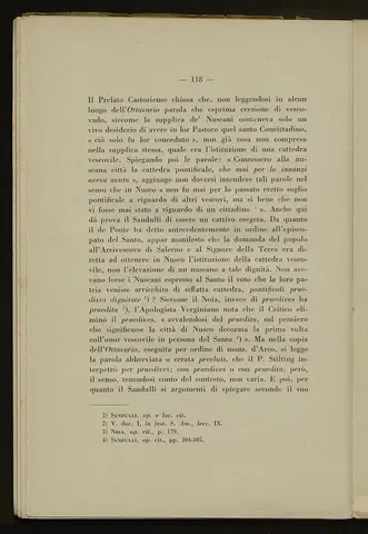 _0119_S.Amato da Nusco_Monografia storico critica_123.webp