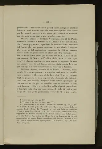 _0120_S.Amato da Nusco_Monografia storico critica_124.webp