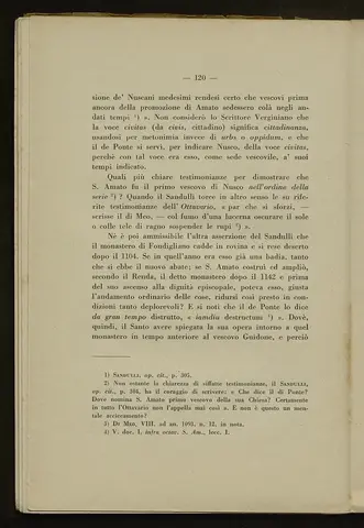 _0121_S.Amato da Nusco_Monografia storico critica_125.webp