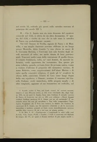_0122_S.Amato da Nusco_Monografia storico critica_126.webp