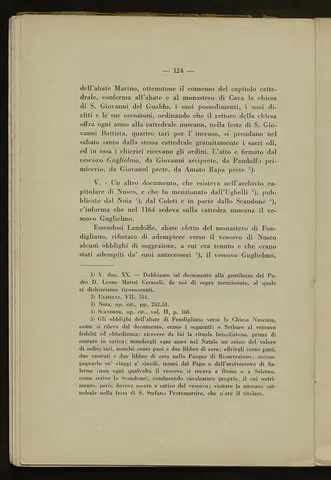 _0125_S.Amato da Nusco_Monografia storico critica_129.webp