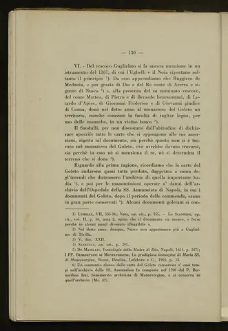 _0131_S.Amato da Nusco_Monografia storico critica_135.webp