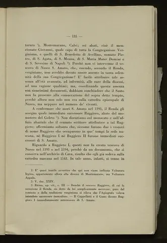 _0136_S.Amato da Nusco_Monografia storico critica_140.webp