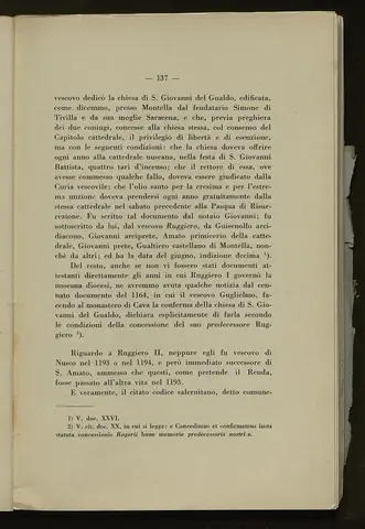 _0138_S.Amato da Nusco_Monografia storico critica_142.webp