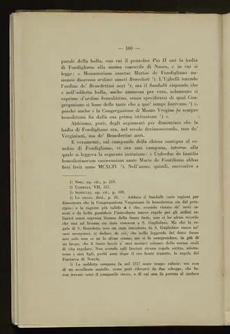 _0161_S.Amato da Nusco_Monografia storico critica_165.webp
