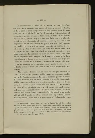 _0176_S.Amato da Nusco_Monografia storico critica_180.webp