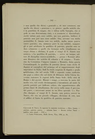 _0203_S.Amato da Nusco_Monografia storico critica_207.webp