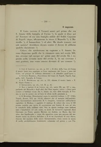 _0204_S.Amato da Nusco_Monografia storico critica_208.webp