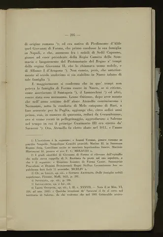 _0206_S.Amato da Nusco_Monografia storico critica_210.webp