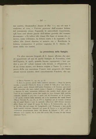_0208_S.Amato da Nusco_Monografia storico critica_212.webp