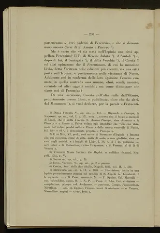 _0209_S.Amato da Nusco_Monografia storico critica_213.webp