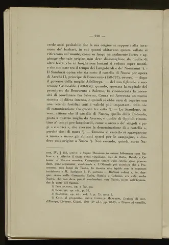 _0211_S.Amato da Nusco_Monografia storico critica_215.webp