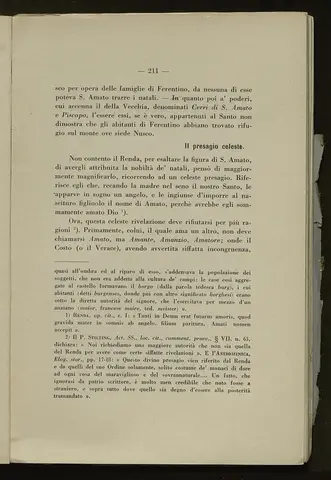 _0212_S.Amato da Nusco_Monografia storico critica_216.webp