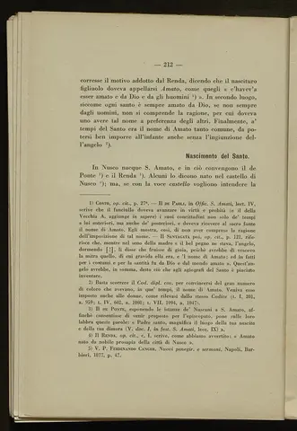 _0213_S.Amato da Nusco_Monografia storico critica_217.webp