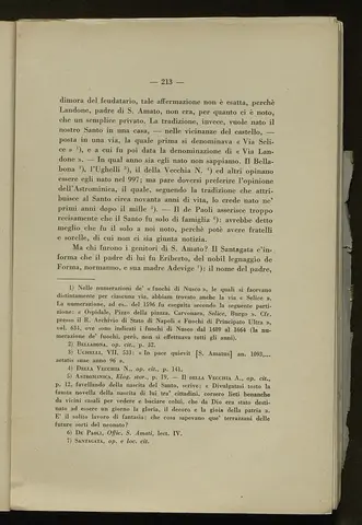 _0214_S.Amato da Nusco_Monografia storico critica_218.webp