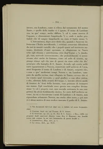 _0215_S.Amato da Nusco_Monografia storico critica_219.webp