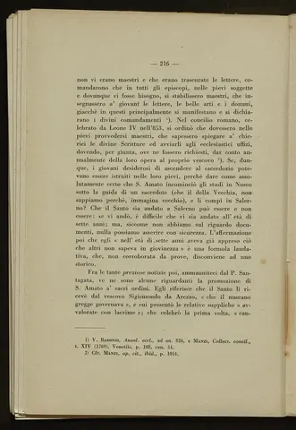 _0217_S.Amato da Nusco_Monografia storico critica_221.webp