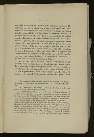 _0222_S.Amato da Nusco_Monografia storico critica_226.webp
